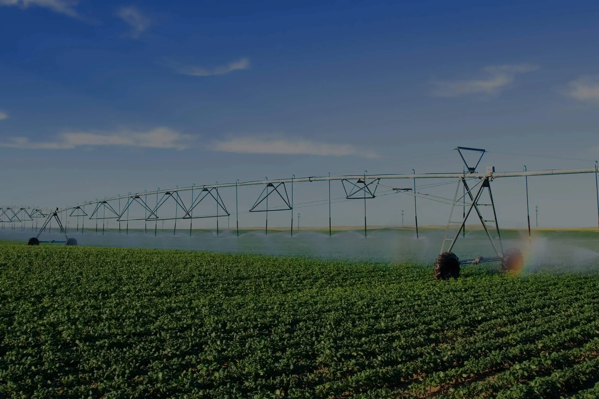 Sprinkler system in a field